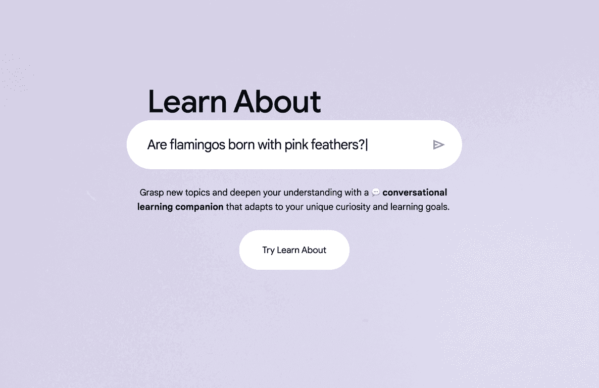 Learn About Review – Your Personalized Learning Companion