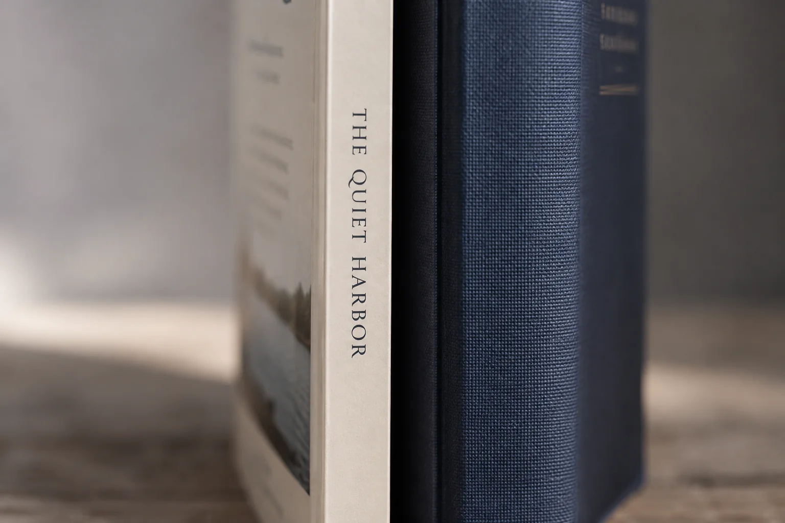Title lettering with space on either side of a slim paperback spine